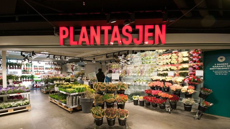 000_202412062315_plantasjen_SS.jpg