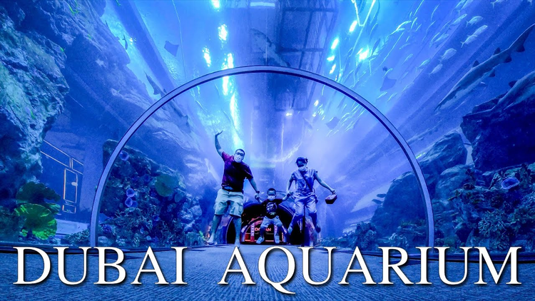 DubaiAquariumAndUnderwaterZoo_screen.png