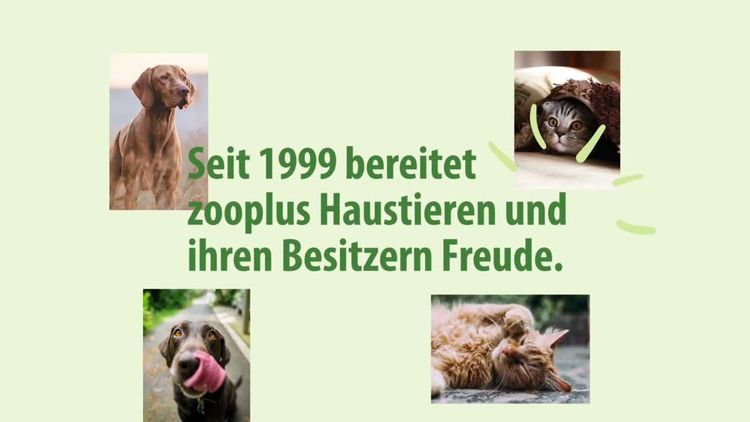 maxresdefault-29.jpg